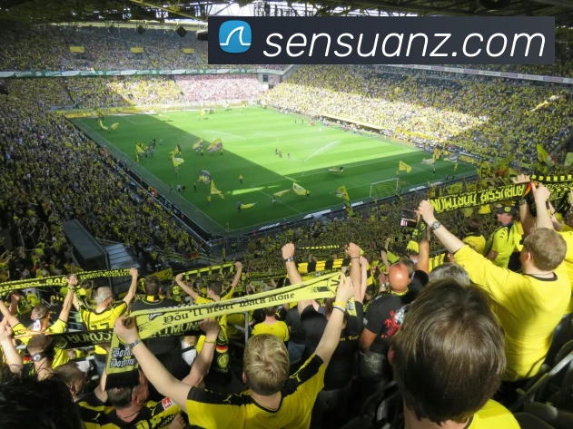 世界杯体彩竞猜发展历程